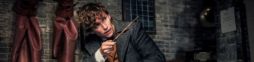 Jak to vypadá s budoucností Fantastických zvířat? To neví ani jejich hlavní hrdina 